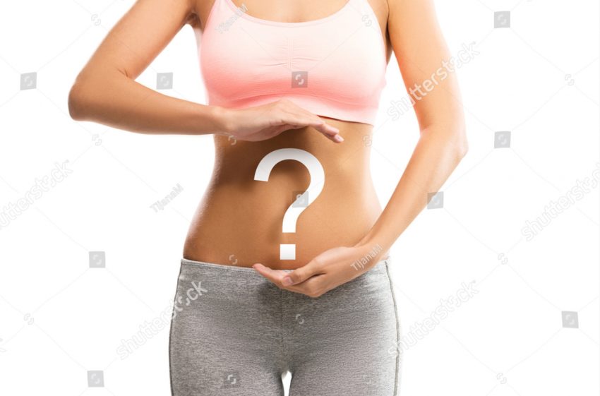 Questions Surrogates ask